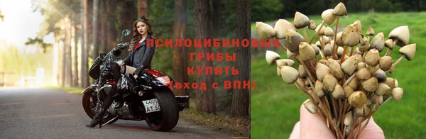 мет Абинск