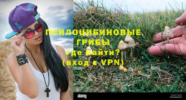 мет Абинск
