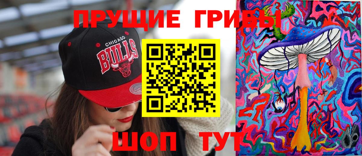 Усть-Кут  Псилоцибиновые грибы Cubensis  Вход с VPN 